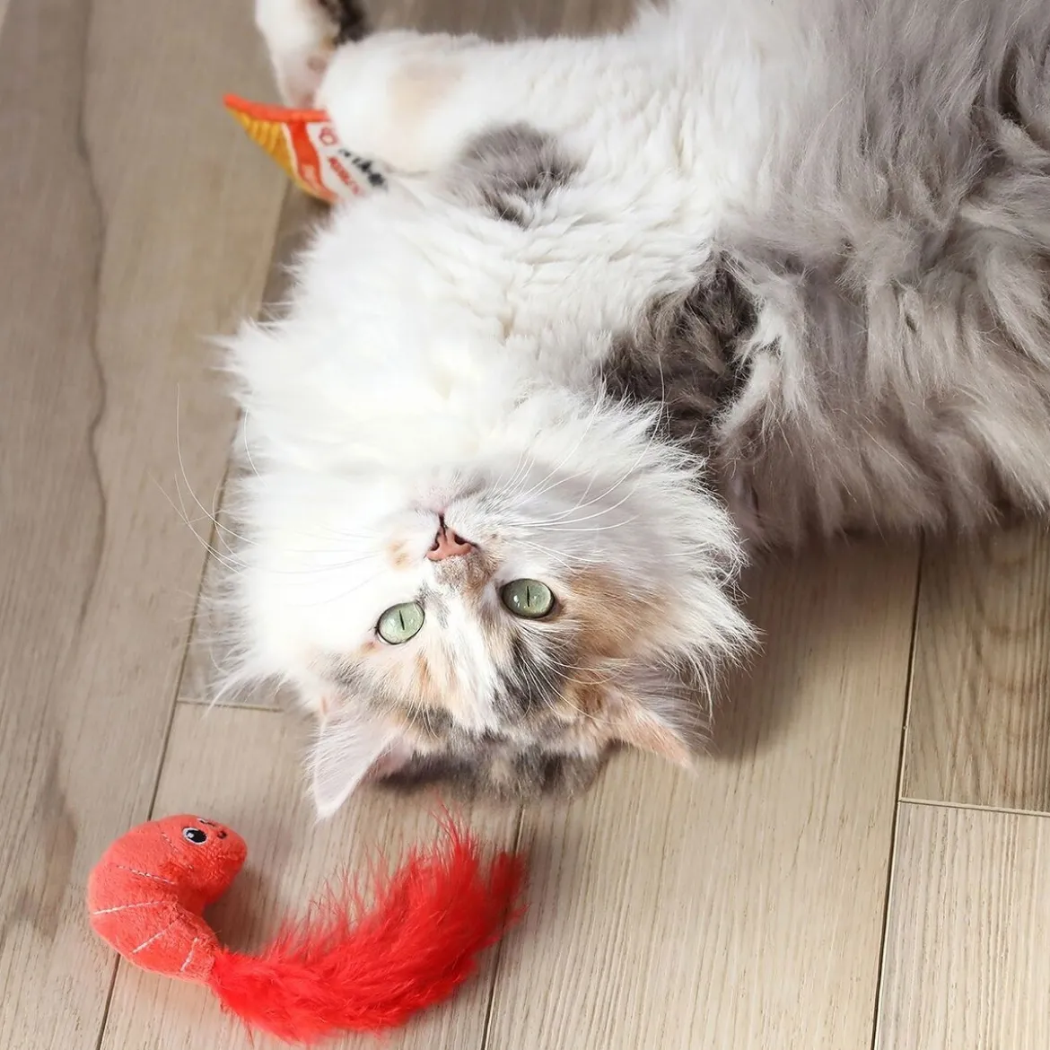 Quirky Kitty Ramen 2-pack