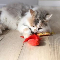 Quirky Kitty Ramen & Räka 2-pack