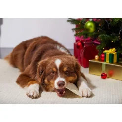 RAUH! Christmas Gingerbread Chew 300 g