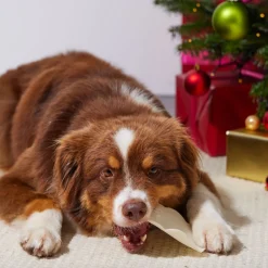 RAUH! Christmas Gingerbread Chew 300 g