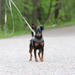 Rogz Urban Fast-Fit Hundsele Guld