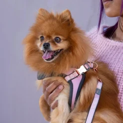 Rogz Urban Fast-Fit Hundsele Rosa