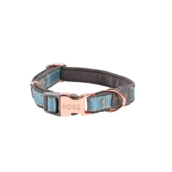 Rogz Urban Hundhalsband Turkos