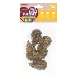 Rosewood Veggie Burst Kottar 6-pack