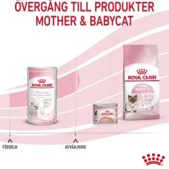 Royal Canin Babycat Milk