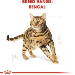 Royal Canin Bengal