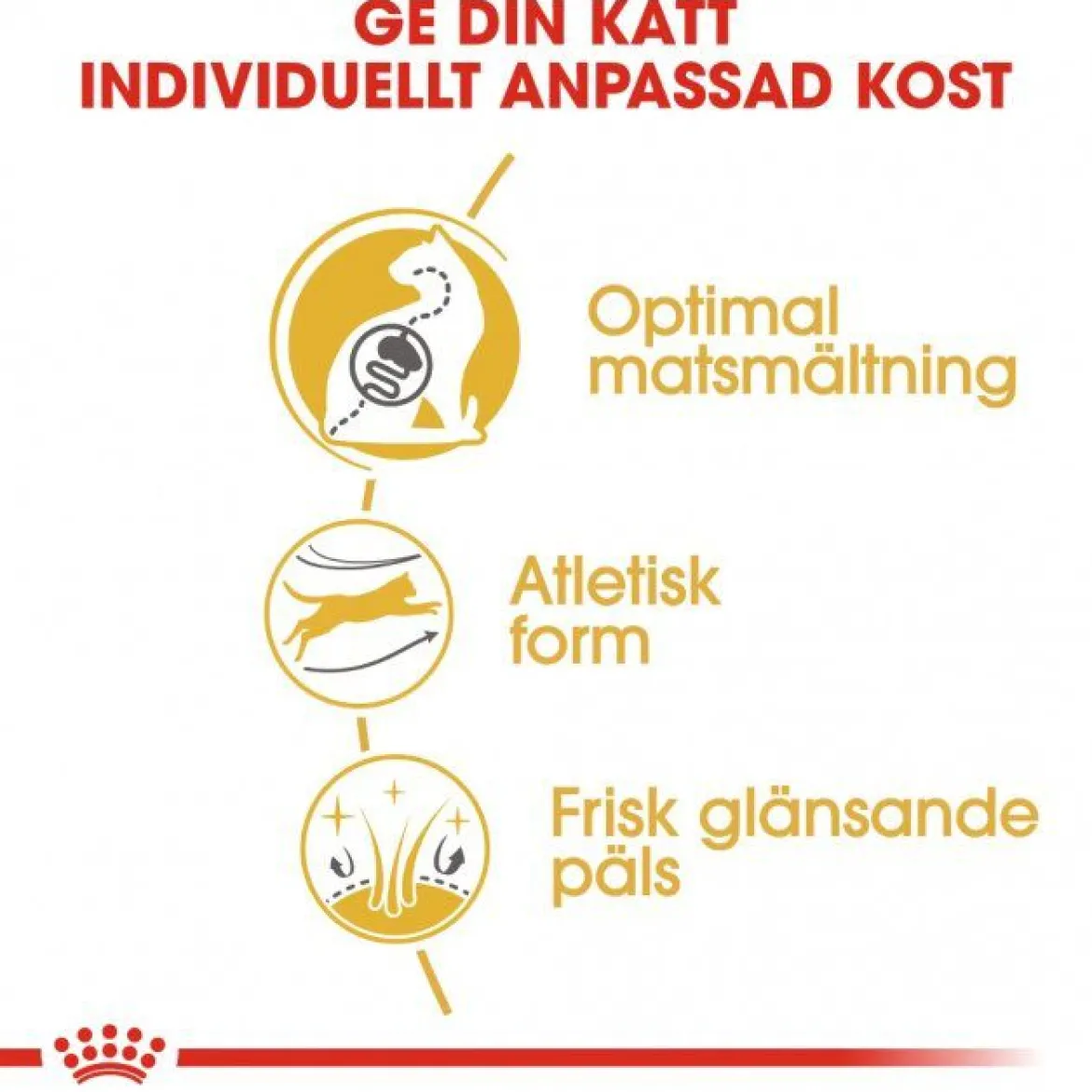 Royal Canin Bengal