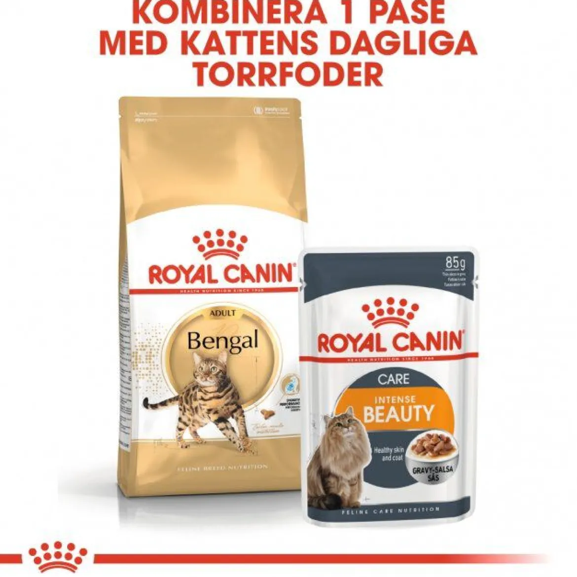 Royal Canin Bengal