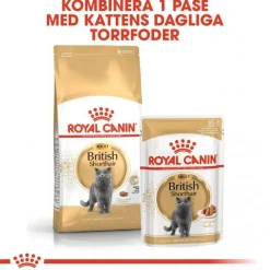 Royal Canin British Shorthair