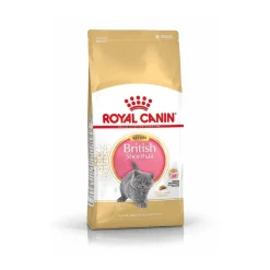 Royal Canin British Shorthair Kitten