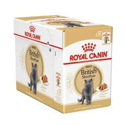 Royal Canin British Shorthair Wet 12x85 g
