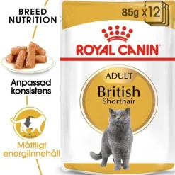 Royal Canin British Shorthair Wet 12x85 g