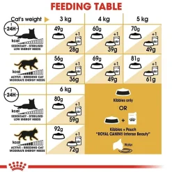 Royal Canin Cat Adult Sphynx