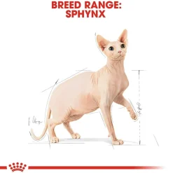 Royal Canin Cat Adult Sphynx