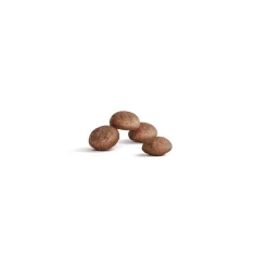Royal Canin Cat Ageing 11+