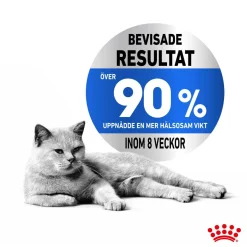 Royal Canin Cat Light Weight Care Gravy 12 x 85 g