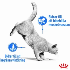 Royal Canin Cat Light Weight Care Jelly Våtfoder (12x85g)