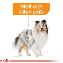 Royal Canin Coat Care Adult 12x85 g