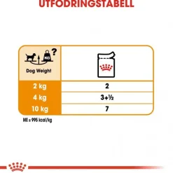 Royal Canin Coat Care Adult 12x85 g