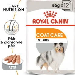 Royal Canin Coat Care Adult 12x85 g