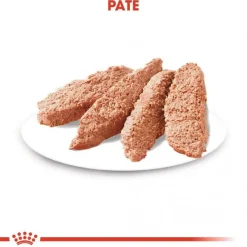 Royal Canin Dermacomfort Adult 12x85 g