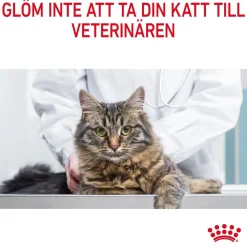Royal Canin Digestive Care