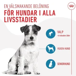 Royal Canin Dog Träningsgodis 110 g