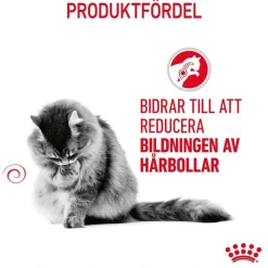 Royal Canin Hairball Care