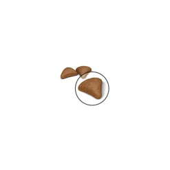Royal Canin Hairball Care
