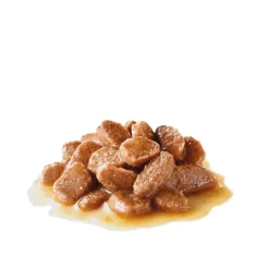 Royal Canin Hairball Care Gravy 12 x 85 g