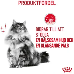 Royal Canin Hair & Skin Care