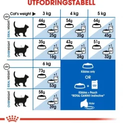 Royal Canin Indoor Long Hair