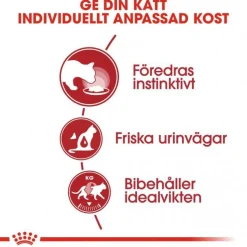 Royal Canin Instinctive Jelly Wet (12x85g)