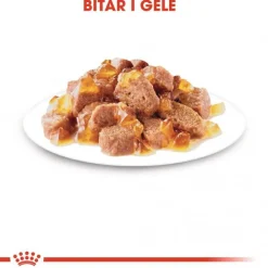 Royal Canin Instinctive Jelly Wet (12x85g)