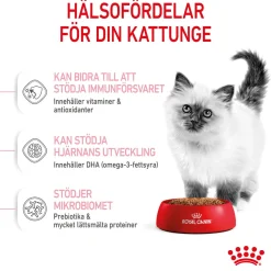 Royal Canin Kitten