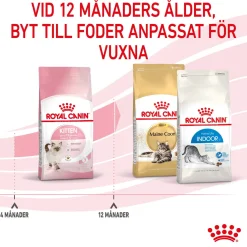 Royal Canin Kitten
