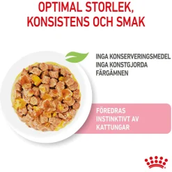 Royal Canin Kitten Jelly 12x85 g
