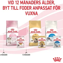 Royal Canin Kitten Jelly 12x85 g