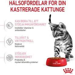 Royal Canin Kitten Sterilised