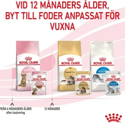 Royal Canin Kitten Sterilised Gravy 12x85 g
