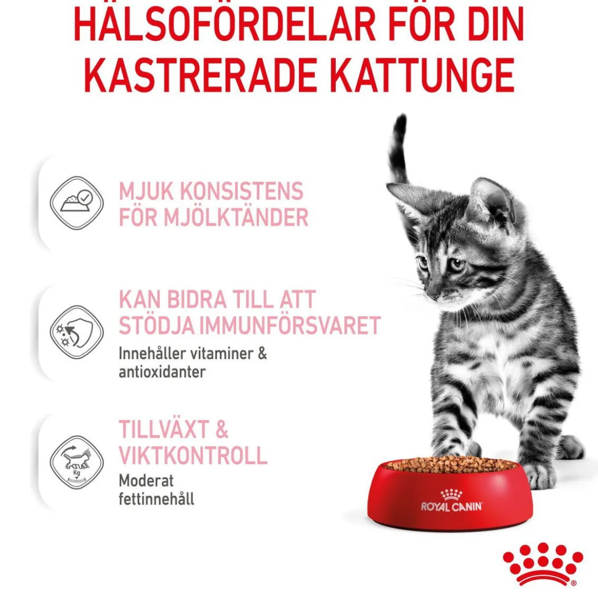 Royal Canin Kitten Sterilised Gravy 12x85 g