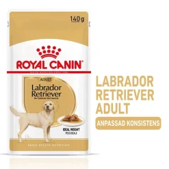 Royal Canin Labrador Retriever Adult 10x140 g