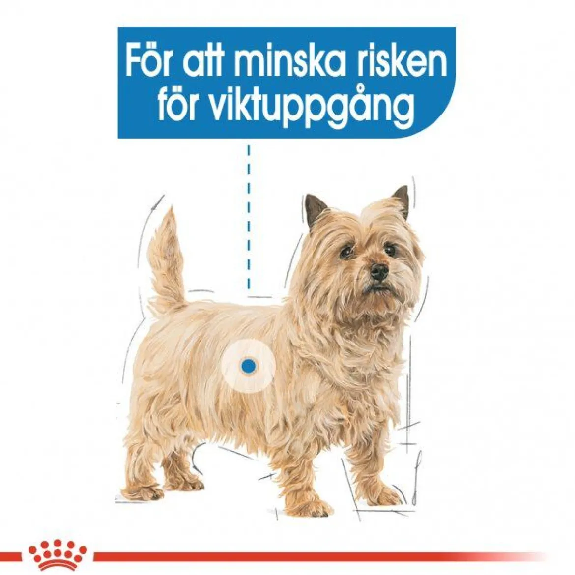 Royal Canin Light Weight Care wet 12x85 g