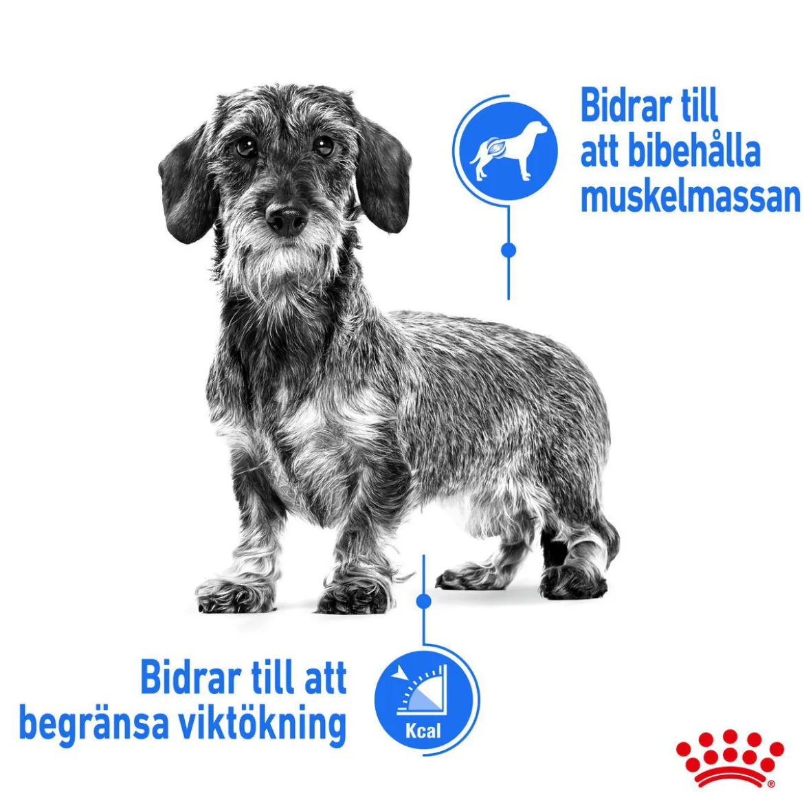 Royal Canin Light Weight Care wet 12x85 g