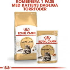 Royal Canin Maine Coon