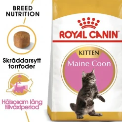 Royal Canin Maine Coon Kitten