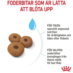 Royal Canin Maxi Starter