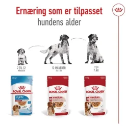 Royal Canin Medium Ageing 10+ Våtfoder (10x140g)