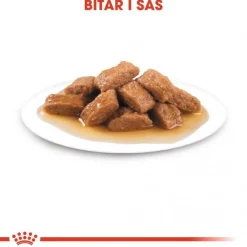 Royal Canin Medium Ageing 10+ Våtfoder (10x140g)