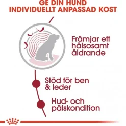 Royal Canin Medium Ageing 10+ Våtfoder (10x140g)